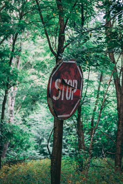 stopka